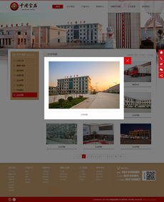 千隆食品携手千助科技 以专业数据处理服务为核心的北京网站建设解决方案